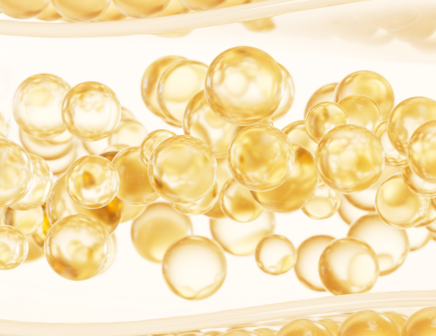 대음순 성형 : 지방이식 Labia majora fat grafting